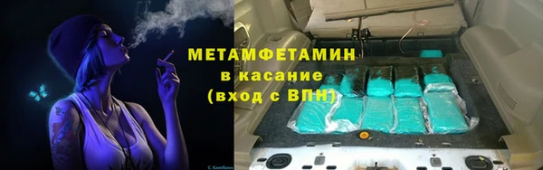 прущие грибы Алзамай