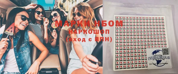 прущие грибы Сосновый Бор