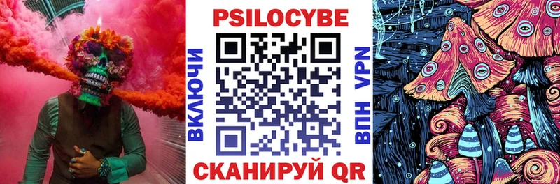 Псилоцибиновые грибы Psilocybe  купить  цена  Сургут 